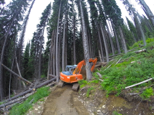 The Hitachi is the right tool for the right job. Beyond these trees is the wrong job.